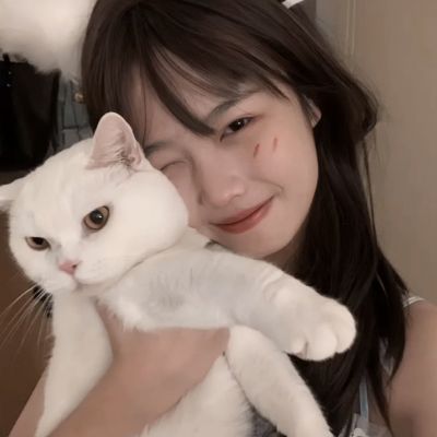 影之刃2官方版下载